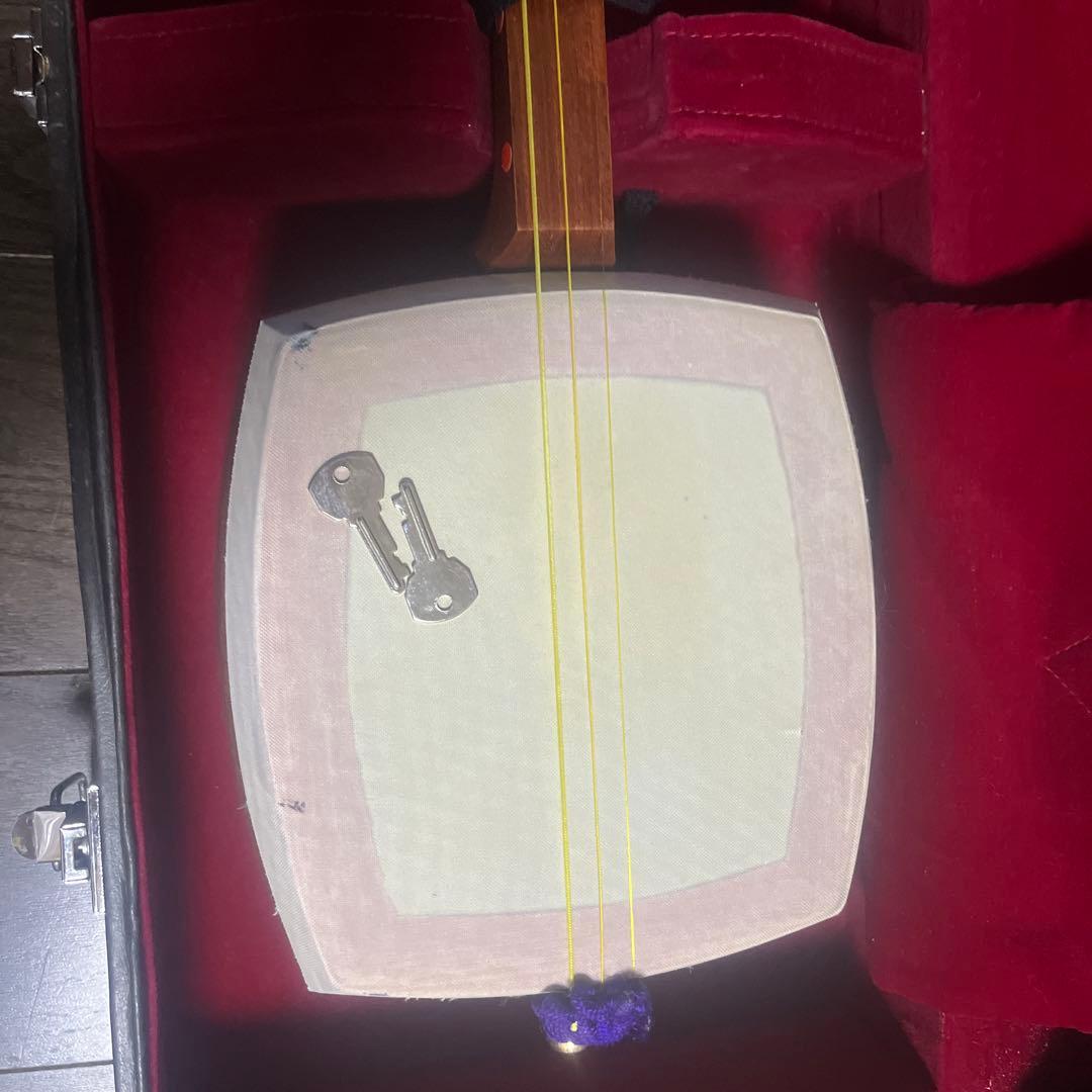 三味線本体 木製 3本の弦 専用ケース付き