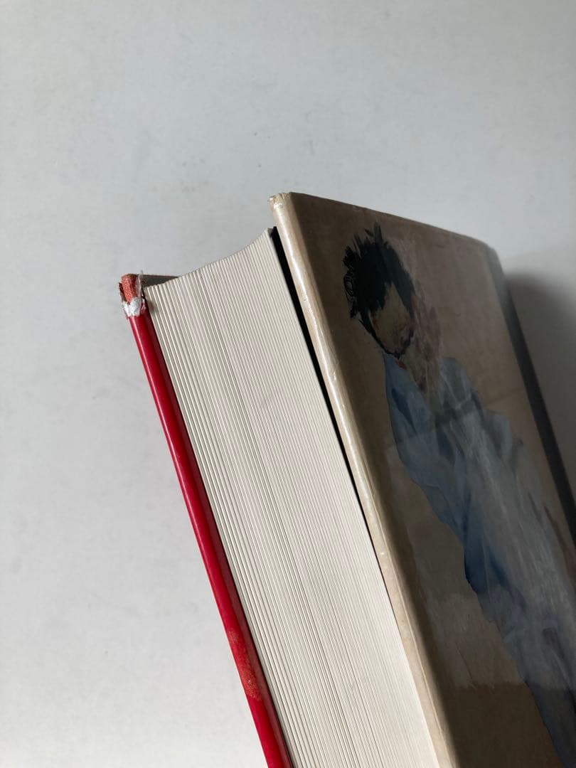 エゴンシーレ全作品集EgonSchiele TheCompleteWorks