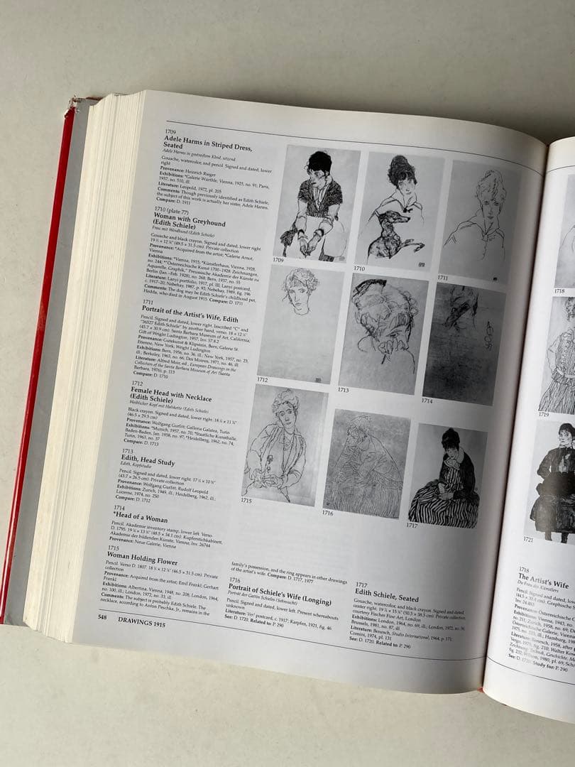 エゴンシーレ全作品集EgonSchiele TheCompleteWorks