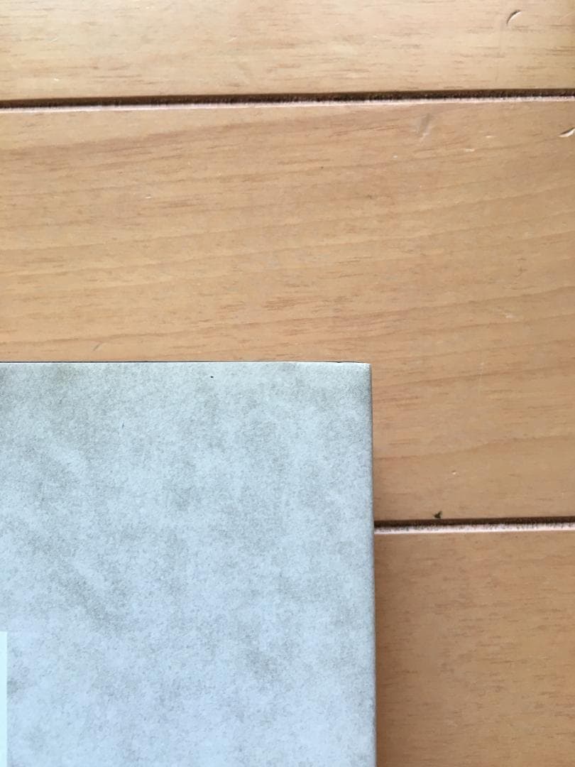 ANTON CORBIJN アントンコービン 『STAR TRAK 』写真集