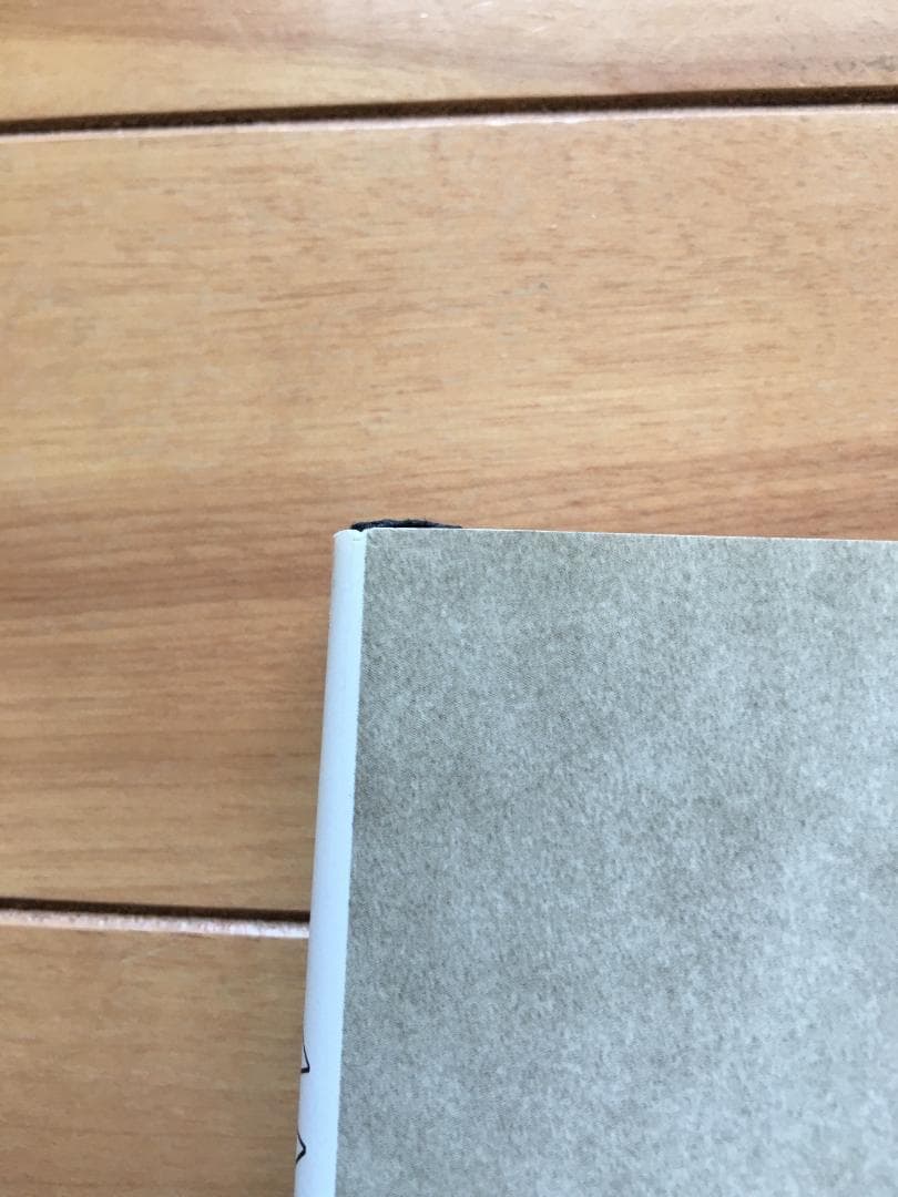 ANTON CORBIJN アントンコービン 『STAR TRAK 』写真集