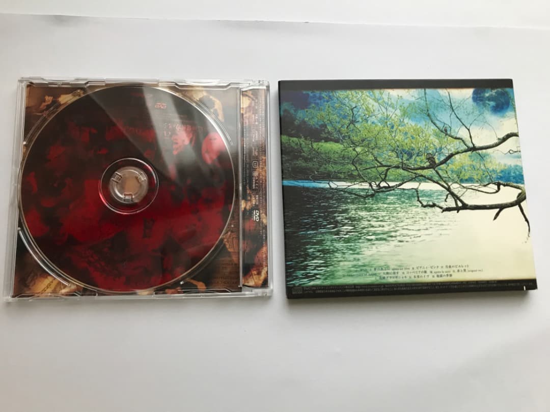 アリ・プロジェクト 11枚セットCD 匿名配送