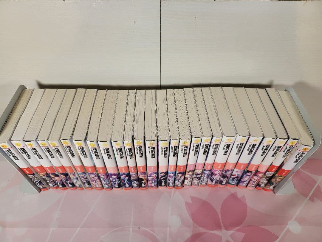 精霊幻想記　全26巻セット