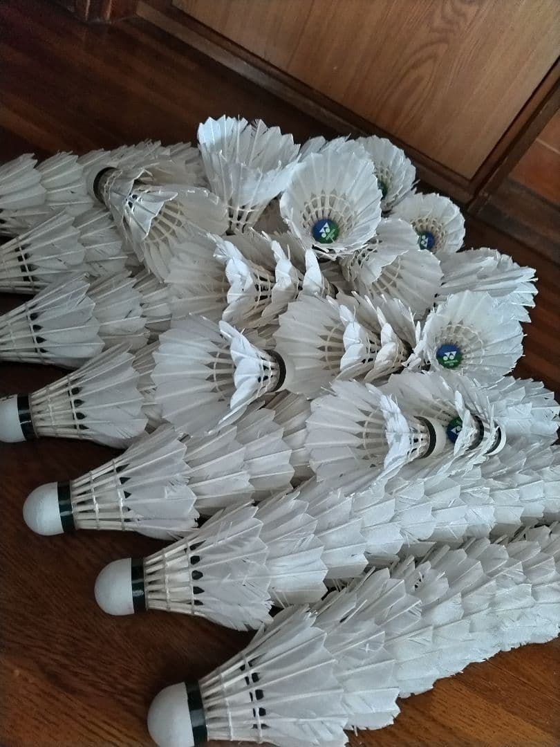 バドミントンシャトル 白い羽120個