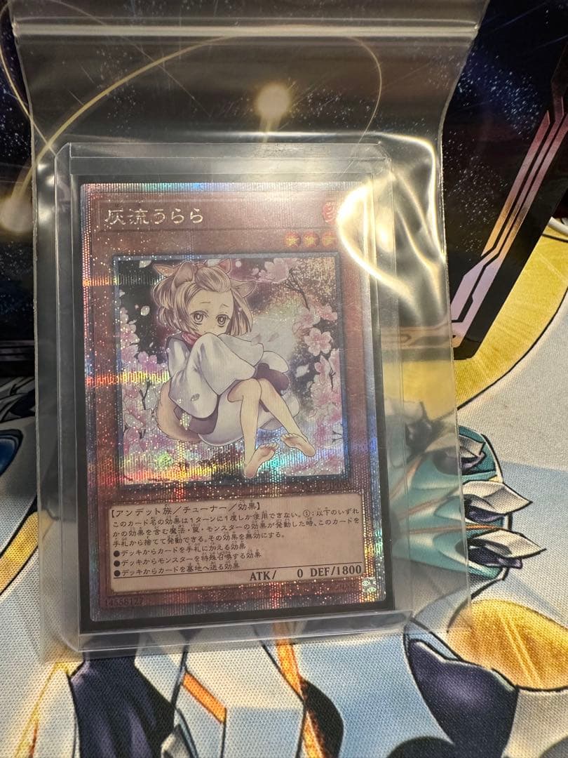 遊戯王　灰流うらら 25th クオシク 絵違い