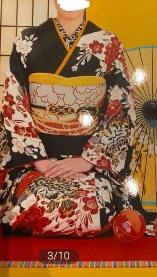 豪華なフル振袖セット 黒 赤 正絹 小物付き 呉服屋さん購入