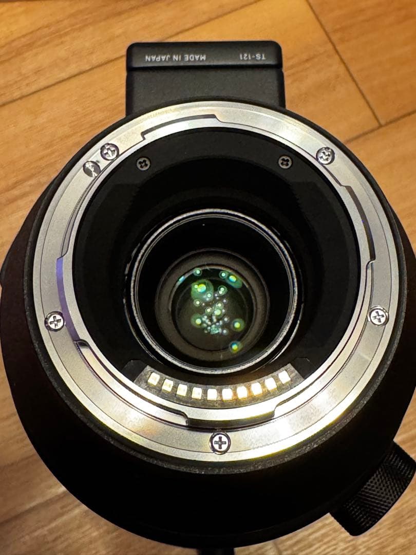 shyunn 　SIGMA 150-600mm f5-6.3 Lマウント