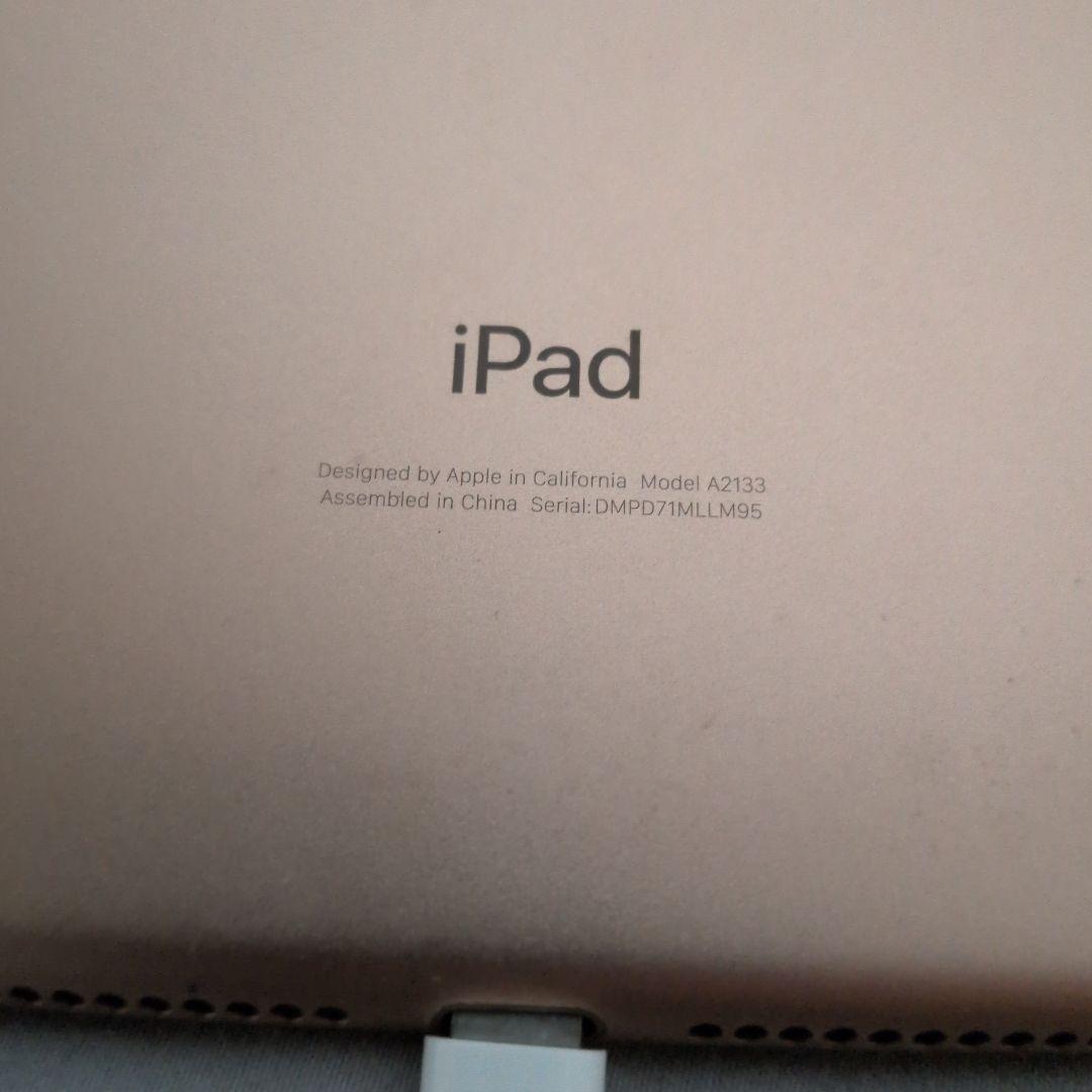 iPad mini 5 ゴールド 本体 64GB 動作確認、初期化済み
