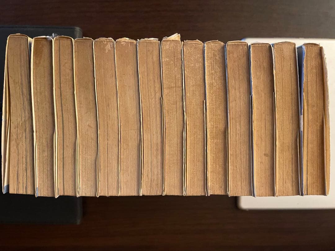 レース鳩0777 全14巻　飯森広一