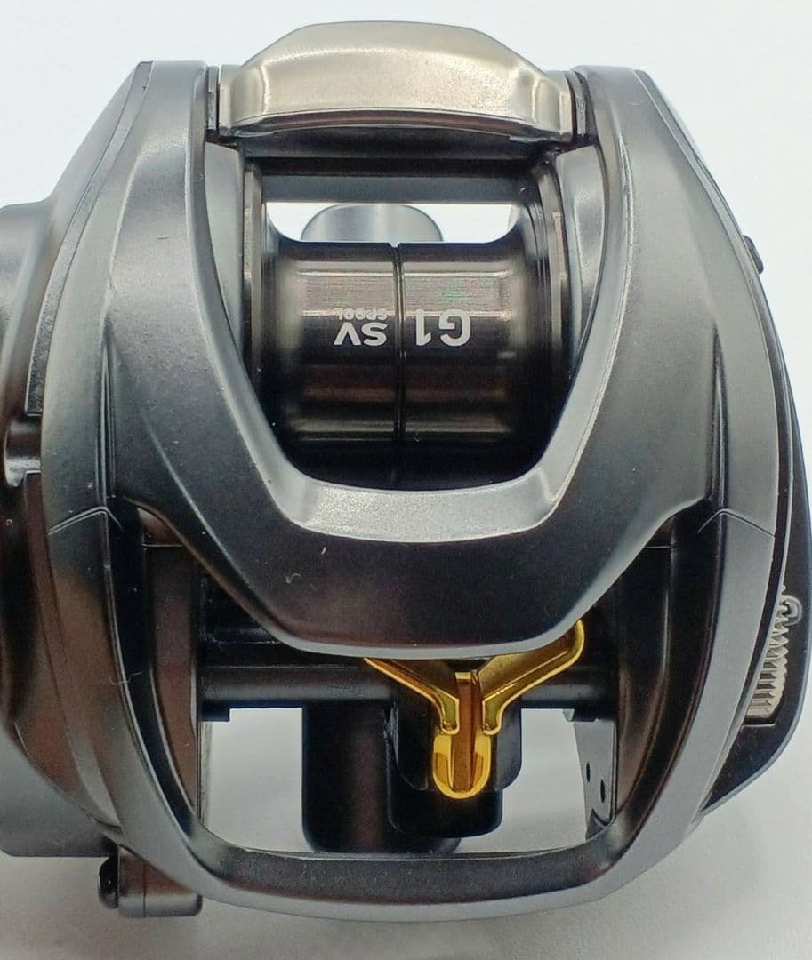 ダイワ DAIWA 16 スティーズ SV TW 1016SV-H