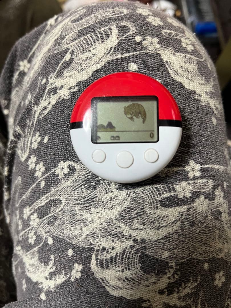 ペッパーペーパー ポケットモンスター ハートゴールド・ソウルシルバーセット