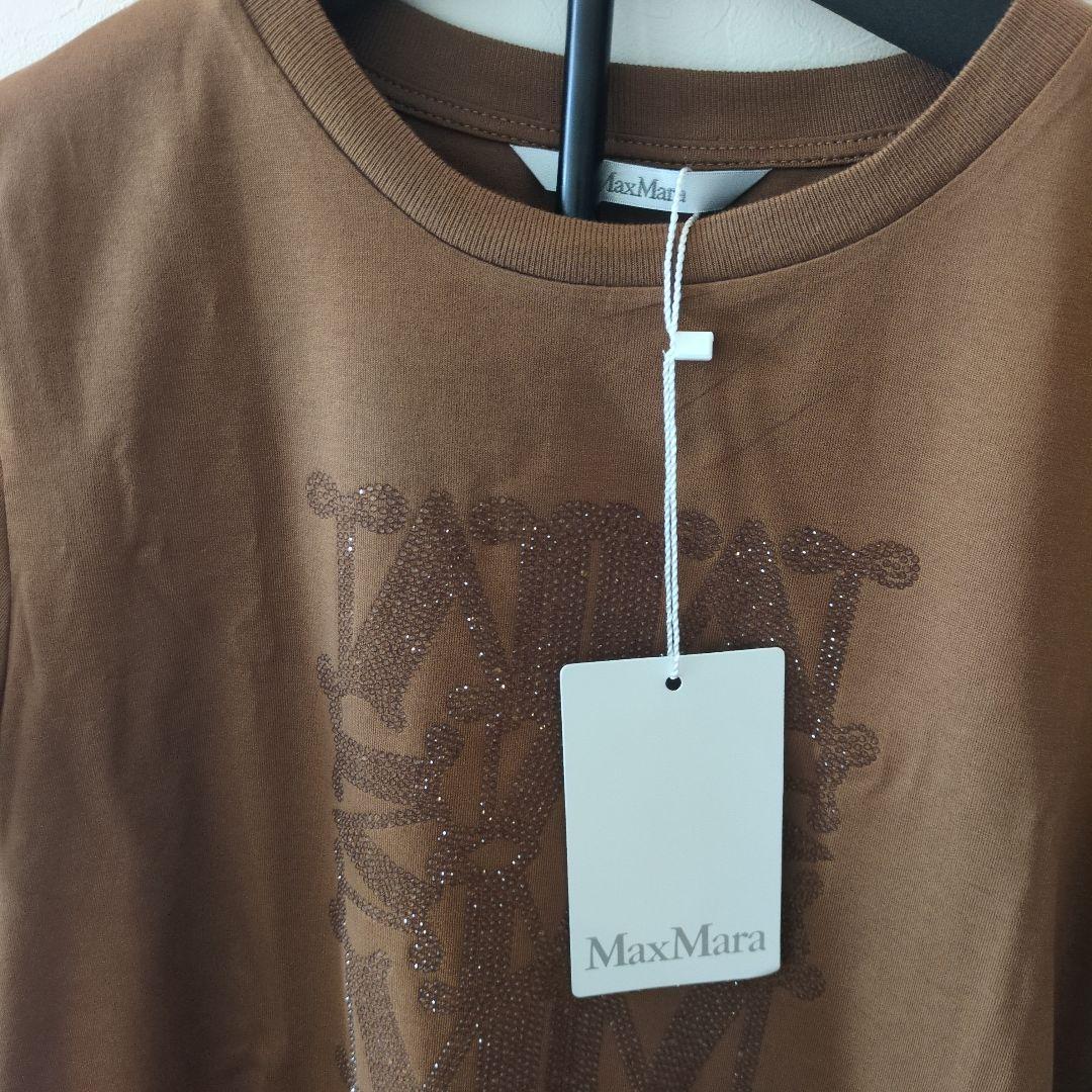 h*3様 MaxMara2025年　新作Tシャツ