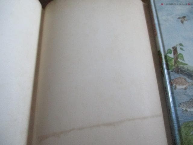 稀少 初版 昭和レトロ かえるのモモル 関根栄一/大道あや 絶版 小峰書店