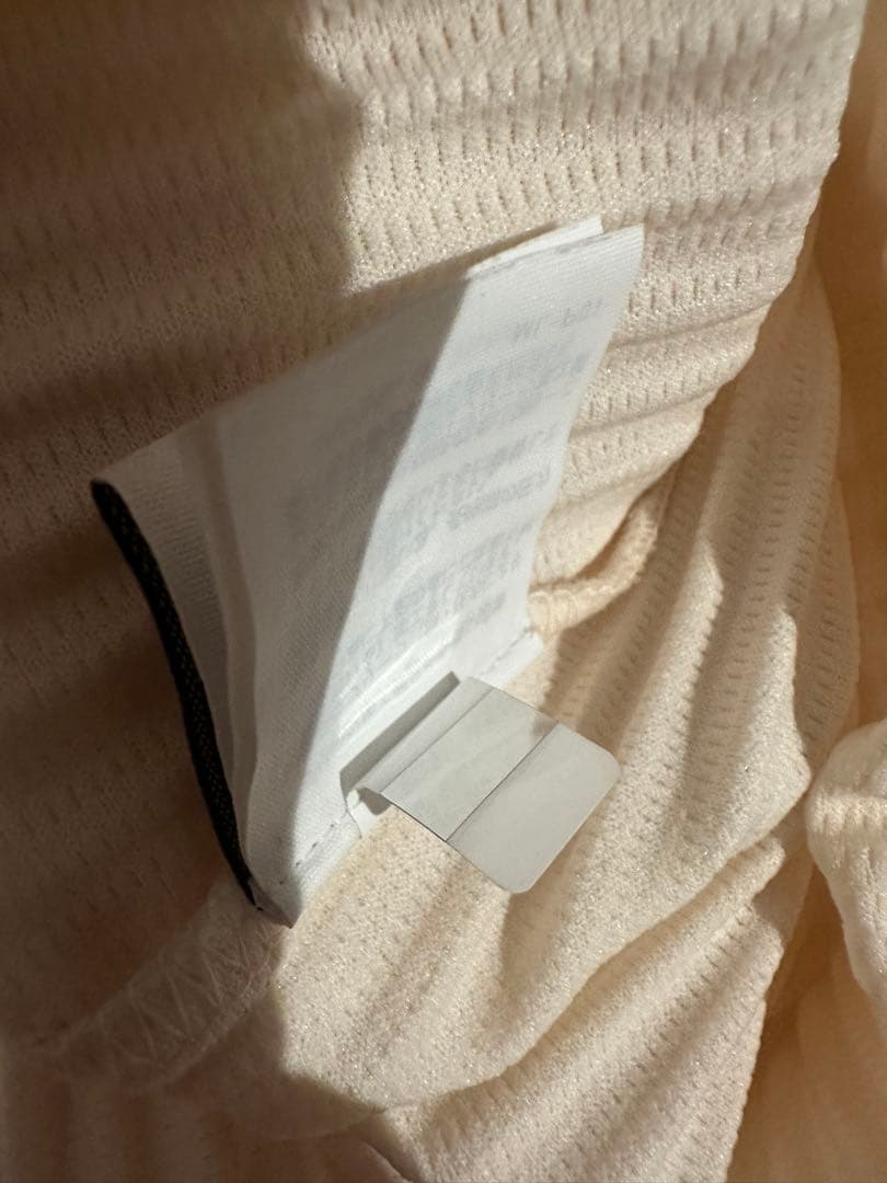 最終お値下げ HOMMEPLISSE ISSEYMIYAKEポロシャツサイズ:2