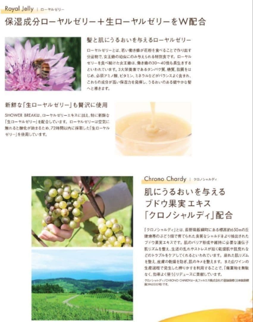 【新品】POLA シャワーブレイク コンディショナー10L　ポーラ10L