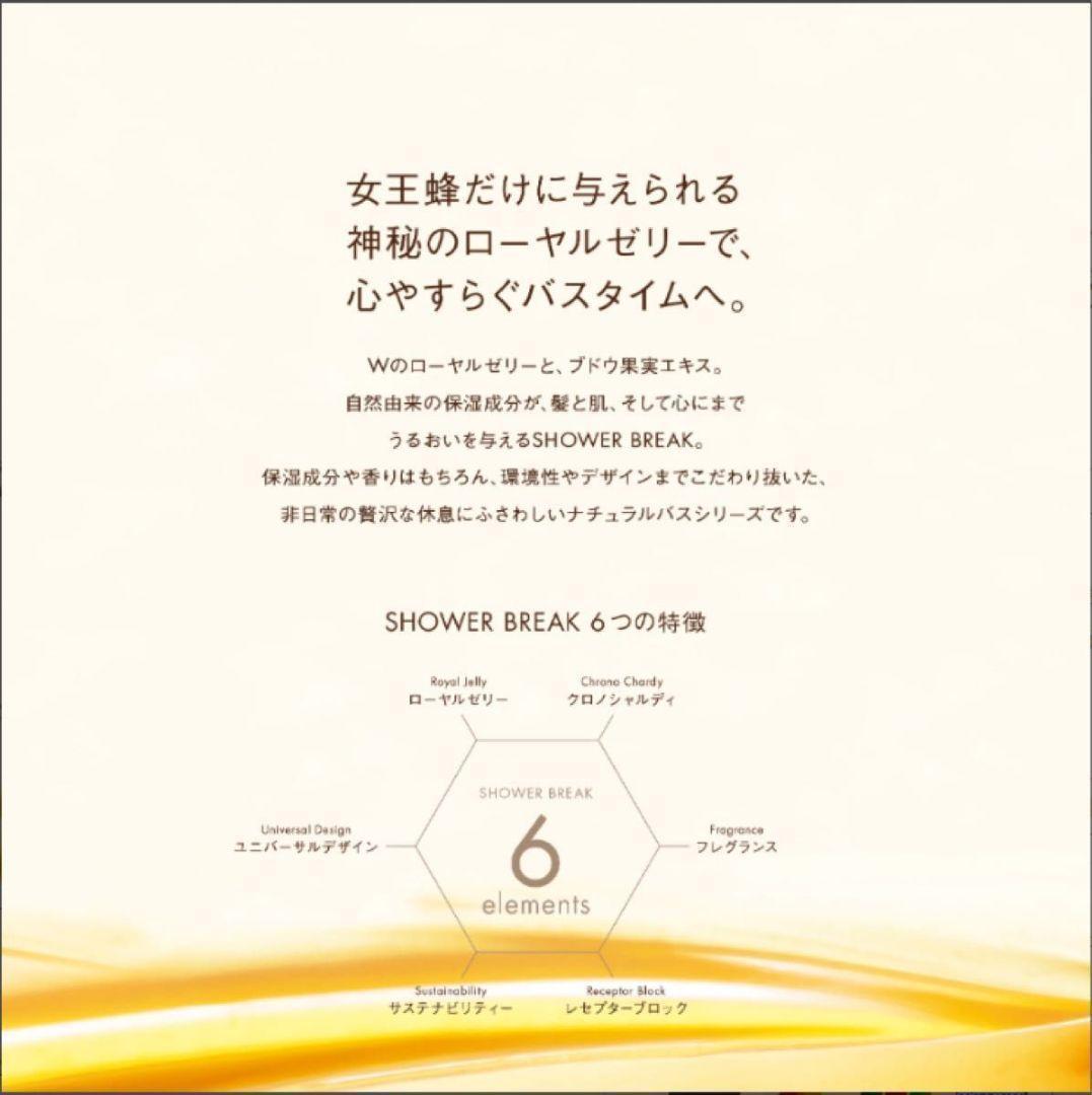 【新品】POLA シャワーブレイク コンディショナー10L　ポーラ10L