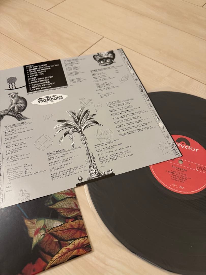 SHAMBARA アルバム レコード