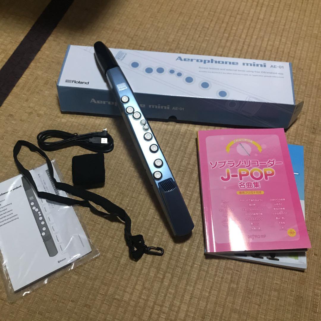 Nintendo Switch Aerophone mini   AE-01