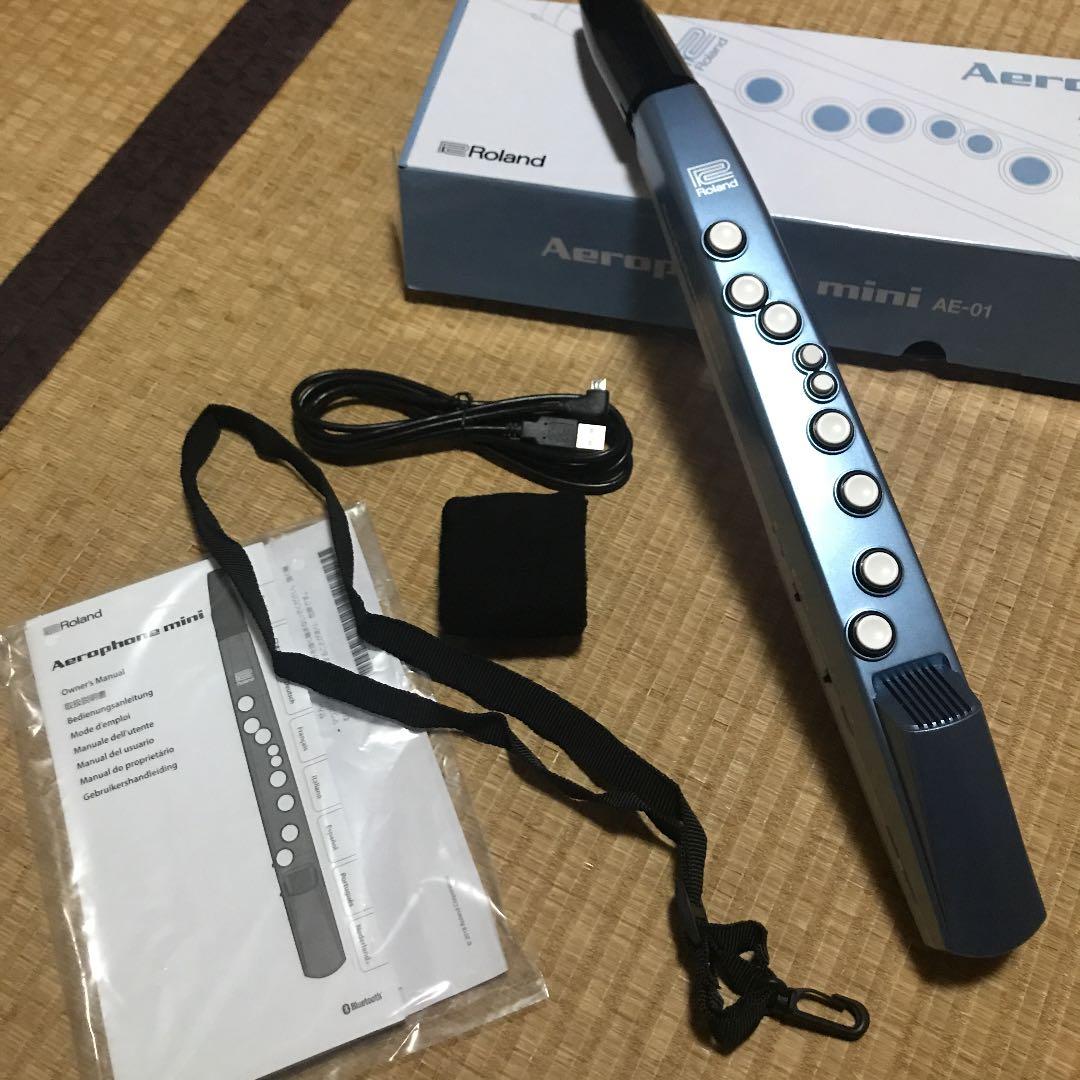 Nintendo Switch Aerophone mini   AE-01