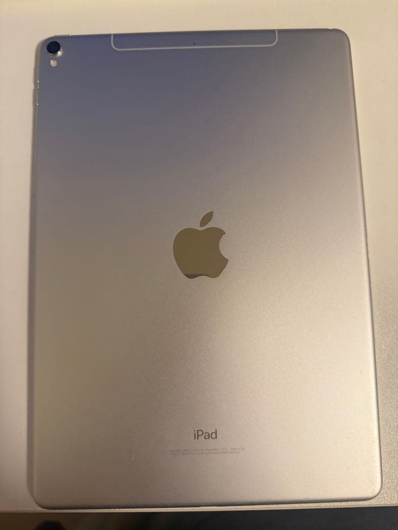 Apple iPad Pro (10.5インチ) 本体 付属品付き