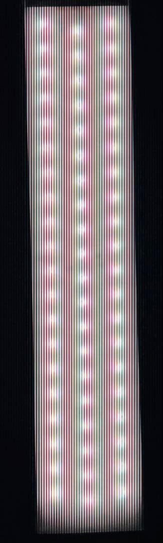 Chihiros LED WRGB Ⅱ 60 10周年モデル セット！