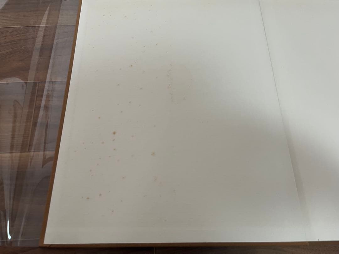 In the American West リチャード・アヴェドン