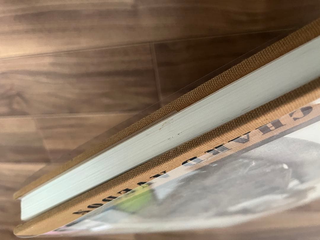 In the American West リチャード・アヴェドン