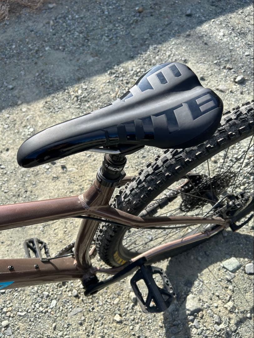 SANTACRUZ サンタクルズ　カメレオン　29er ブラウン　Mサイズ