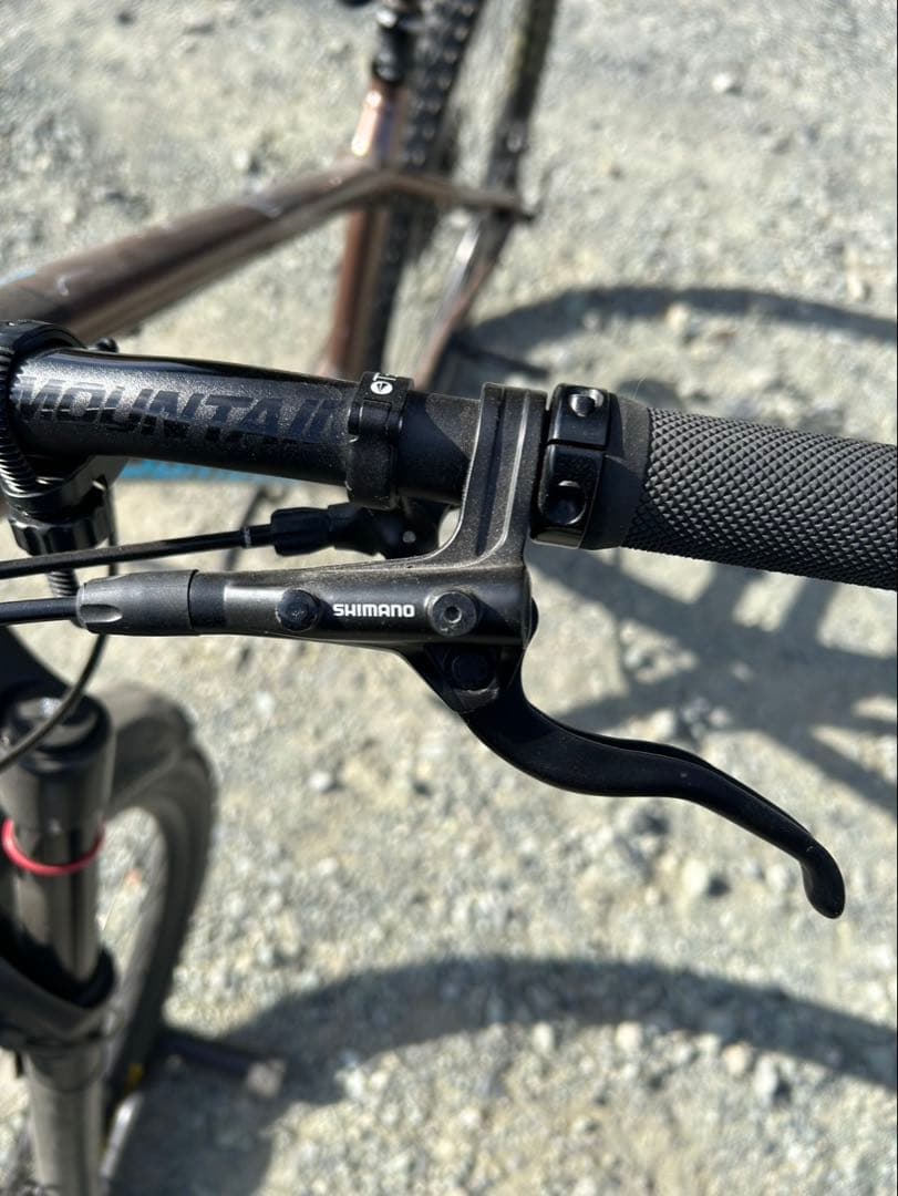 SANTACRUZ サンタクルズ　カメレオン　29er ブラウン　Mサイズ