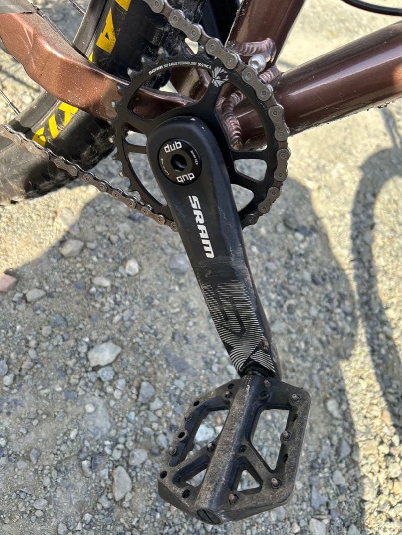 SANTACRUZ サンタクルズ　カメレオン　29er ブラウン　Mサイズ