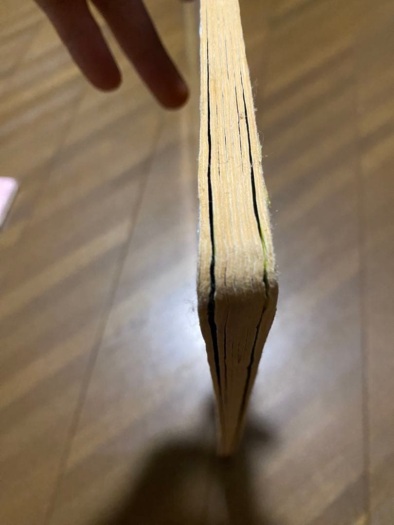 セサミストリート BIG BIRD'S BIG BOOK コレクターアイテム