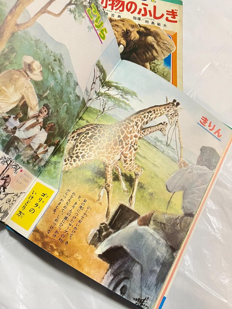 帯付き 小学館 なぜなに学習図鑑 2 動物のふしぎ