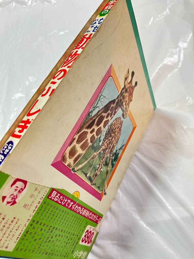 帯付き 小学館 なぜなに学習図鑑 2 動物のふしぎ