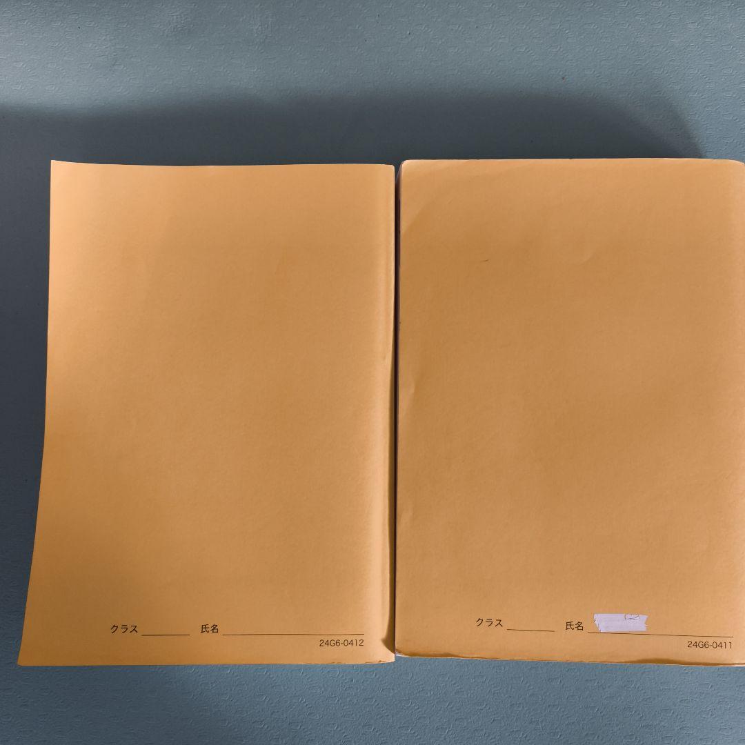 鉄緑会 高3化学 化学発展講座 上下巻 2冊セット