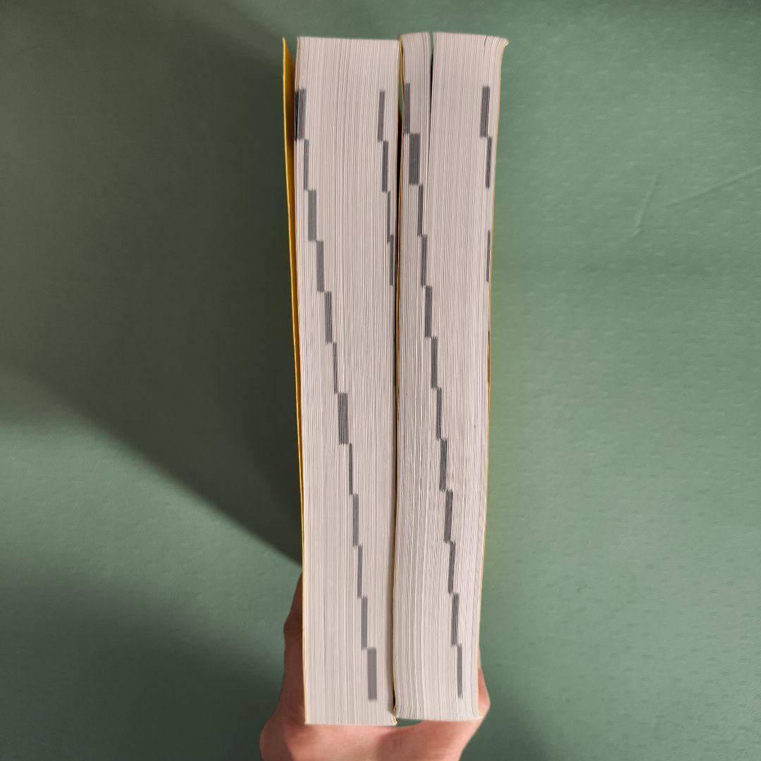 鉄緑会 高3化学 化学発展講座 上下巻 2冊セット