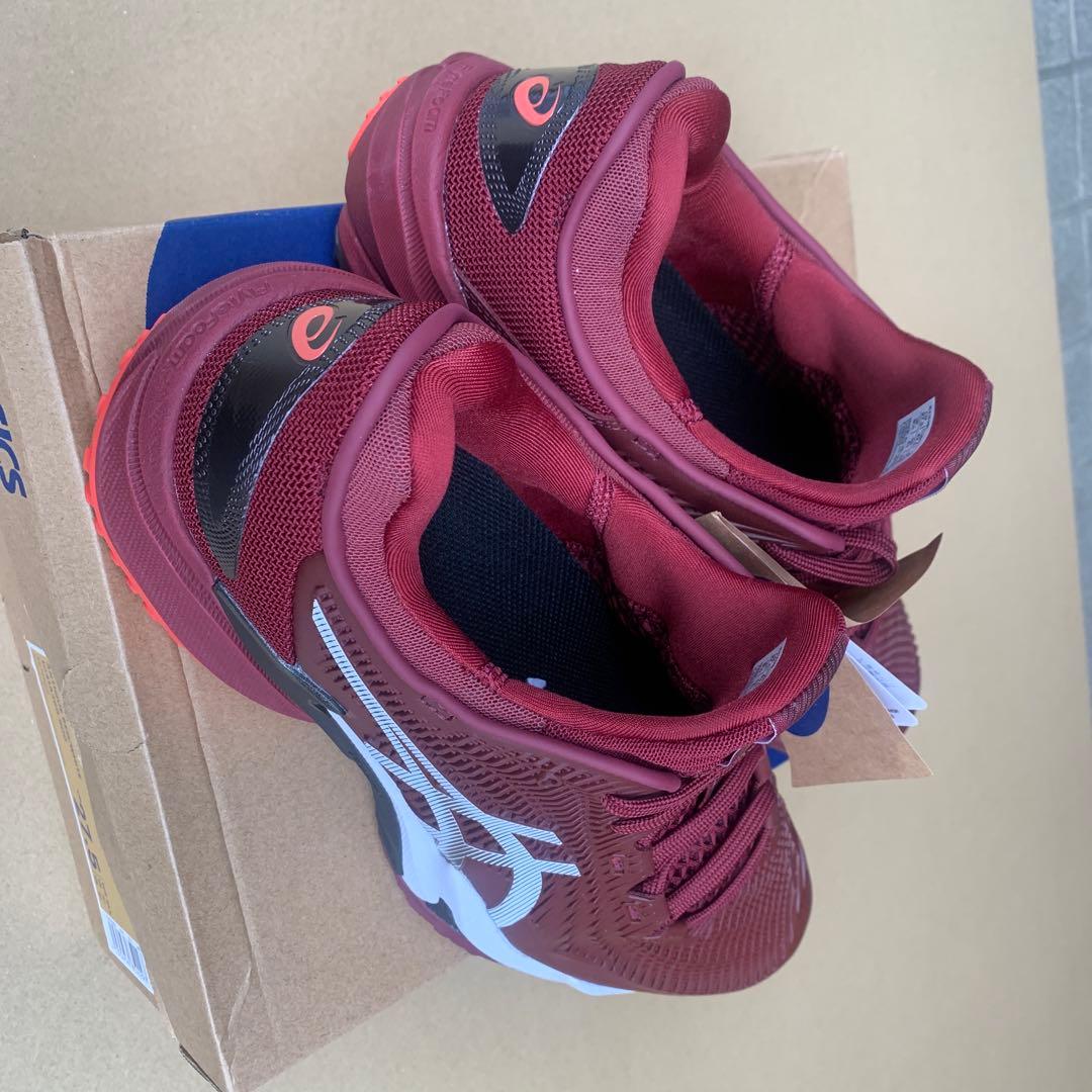 テニスシューズ　アシックス　メンズ