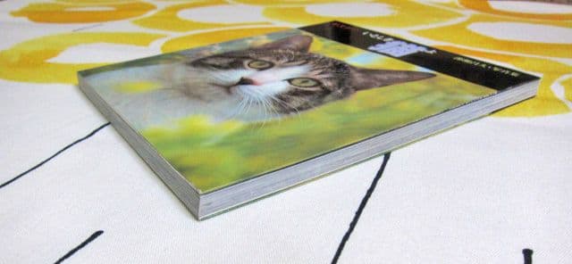 深瀬昌久写真集 サスケ! いとしき猫よ MASAHISA FUKASE