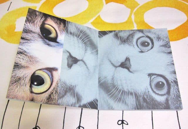 深瀬昌久写真集 サスケ! いとしき猫よ MASAHISA FUKASE