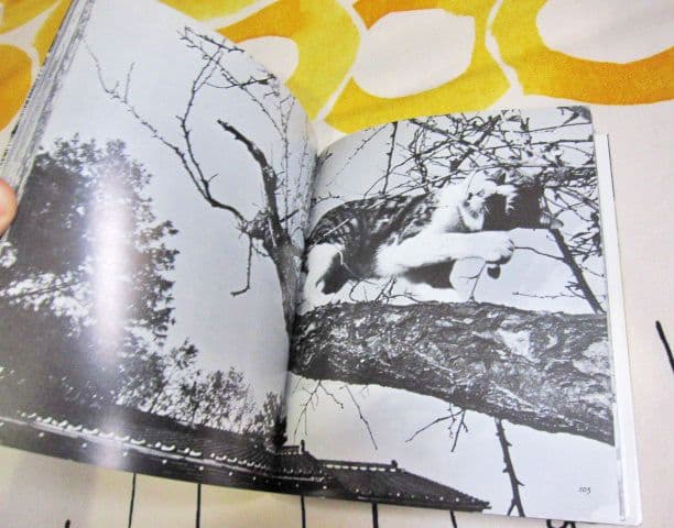 深瀬昌久写真集 サスケ! いとしき猫よ MASAHISA FUKASE