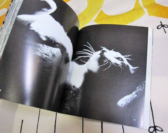 深瀬昌久写真集 サスケ! いとしき猫よ MASAHISA FUKASE
