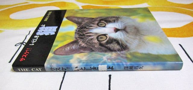 深瀬昌久写真集 サスケ! いとしき猫よ MASAHISA FUKASE