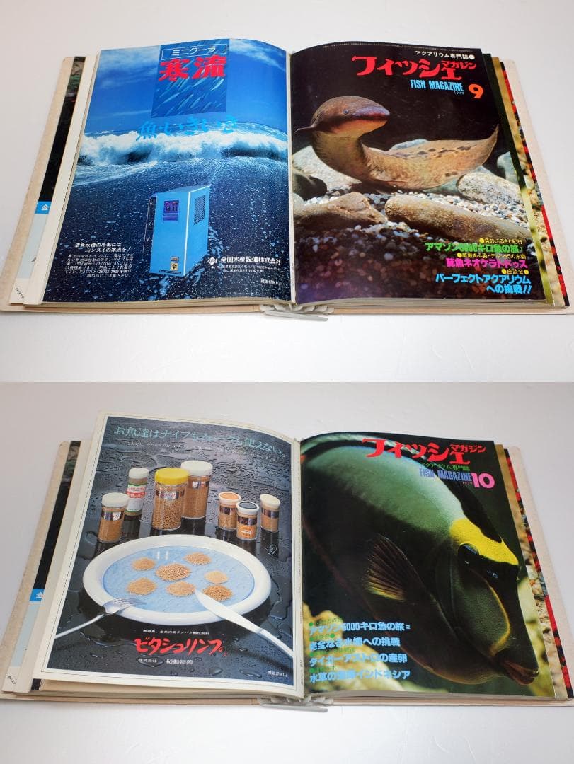 イ*3様 月刊フィッシュマガジン 1979年6月号～1981年2月号 昭和54～