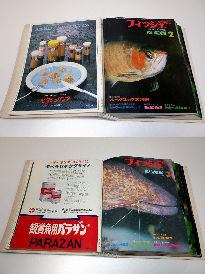 イ*3様 月刊フィッシュマガジン 1979年6月号～1981年2月号 昭和54～
