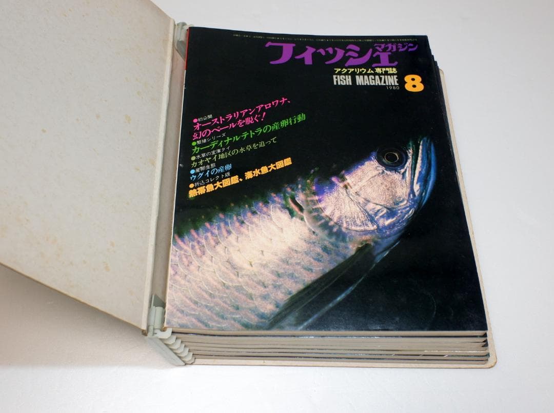 イ*3様 月刊フィッシュマガジン 1979年6月号～1981年2月号 昭和54～
