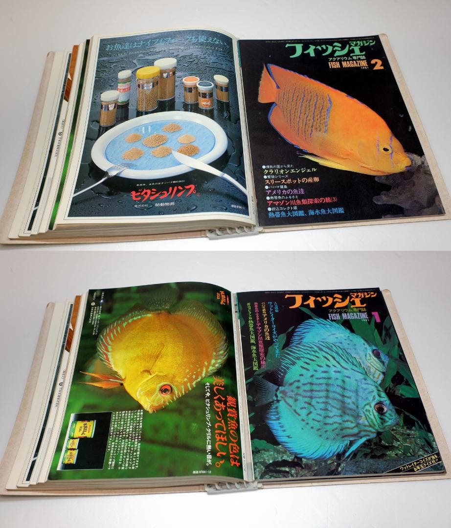 イ*3様 月刊フィッシュマガジン 1979年6月号～1981年2月号 昭和54～