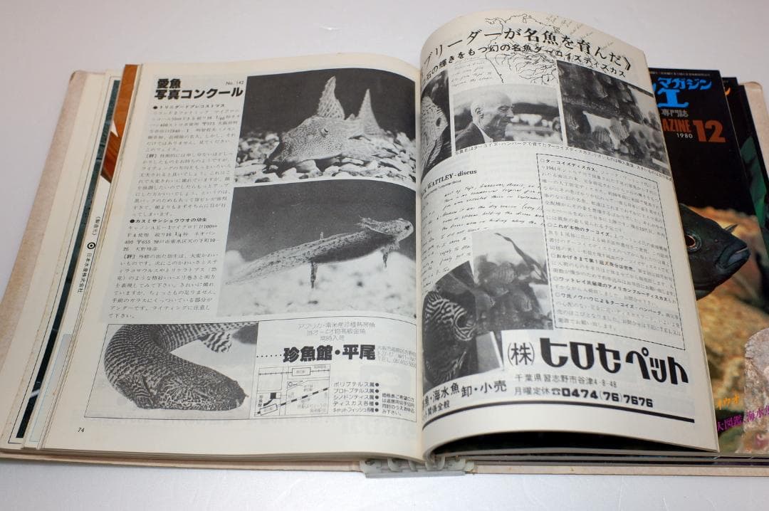 イ*3様 月刊フィッシュマガジン 1979年6月号～1981年2月号 昭和54～