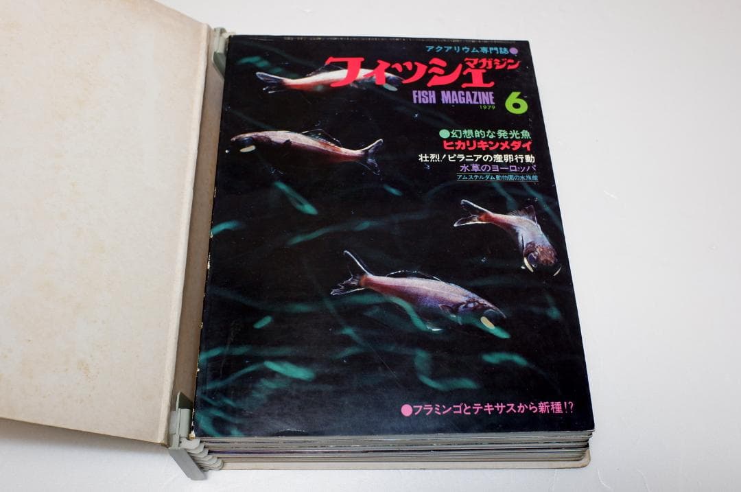 イ*3様 月刊フィッシュマガジン 1979年6月号～1981年2月号 昭和54～