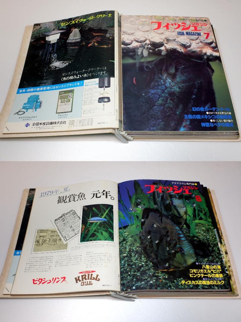 イ*3様 月刊フィッシュマガジン 1979年6月号～1981年2月号 昭和54～