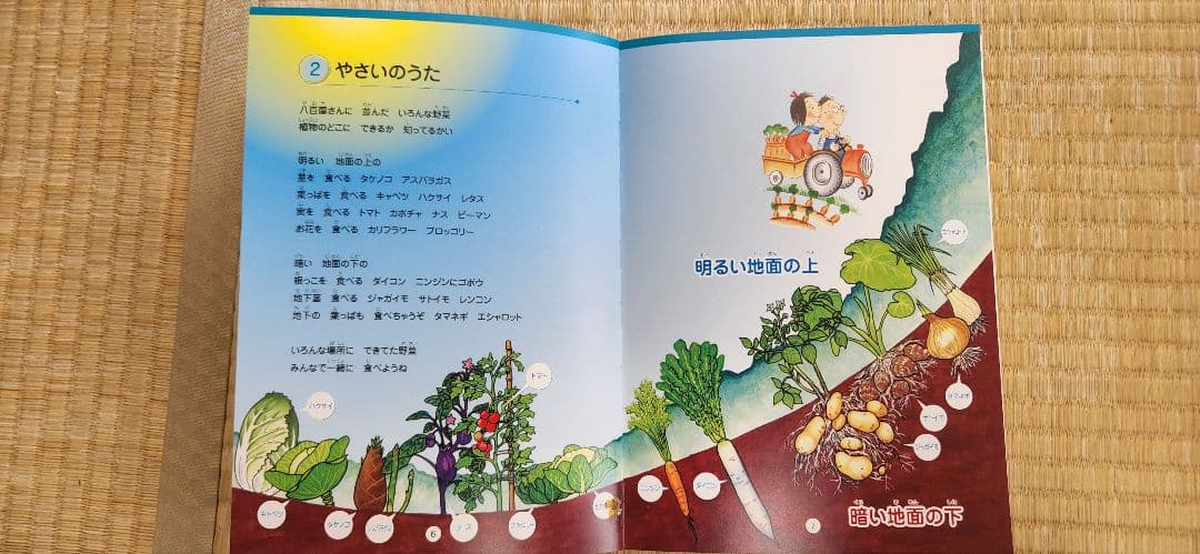 ★美品 七田式 理科(生物・地学)・社会科(日本地理)ソング CDつき3冊セット