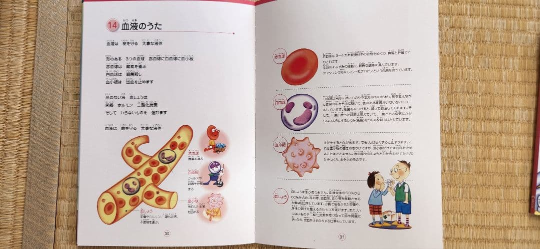 ★美品 七田式 理科(生物・地学)・社会科(日本地理)ソング CDつき3冊セット